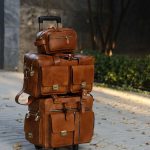 Davis Travel Pack - چمدان مسافرتی دیویس