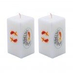 Hafsin Candle B10- شمع دوقلو هفت سین  کد B10