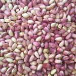 Pistachio_ پسته